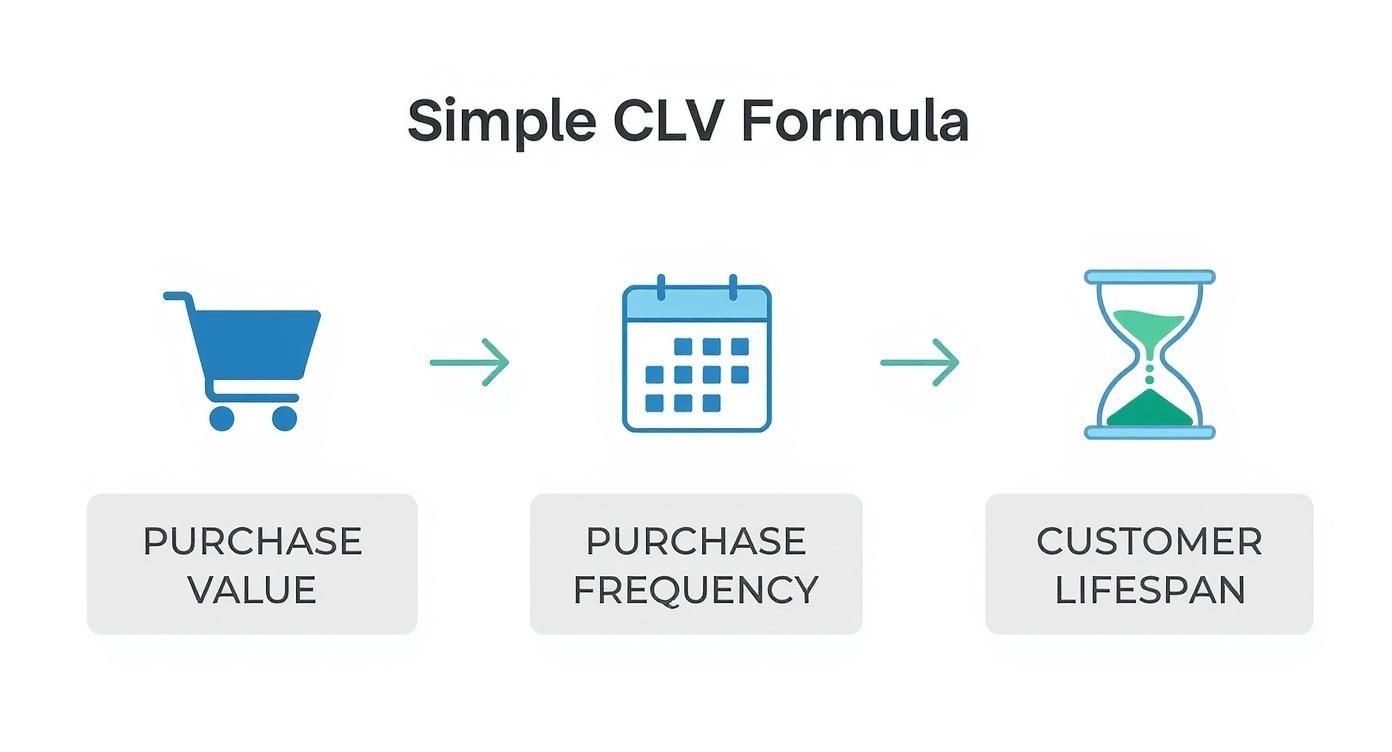 Infographic about customer lifetime value calculation formula